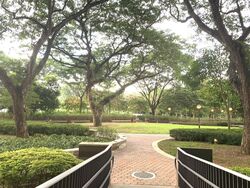 Blk 87 Skyville @ Dawson (Queenstown), HDB 4 Rooms #618903181